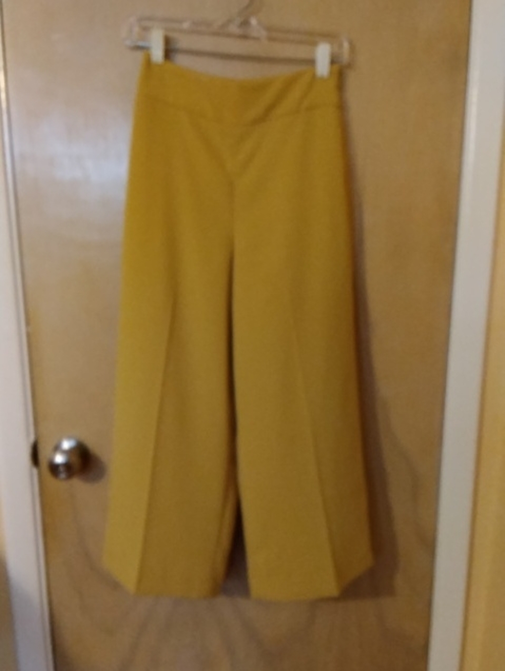 Express Wide-Leg Pants in Mustard Yellow